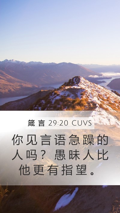 箴 言 29:20 CUVS Bible Verse Image