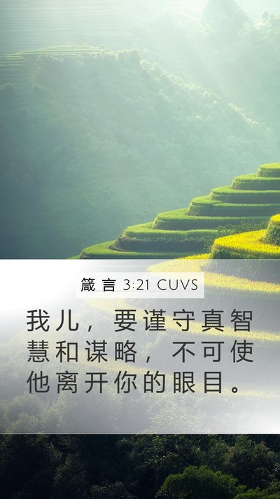 箴 言 3:21 CUVS Bible Verse Image