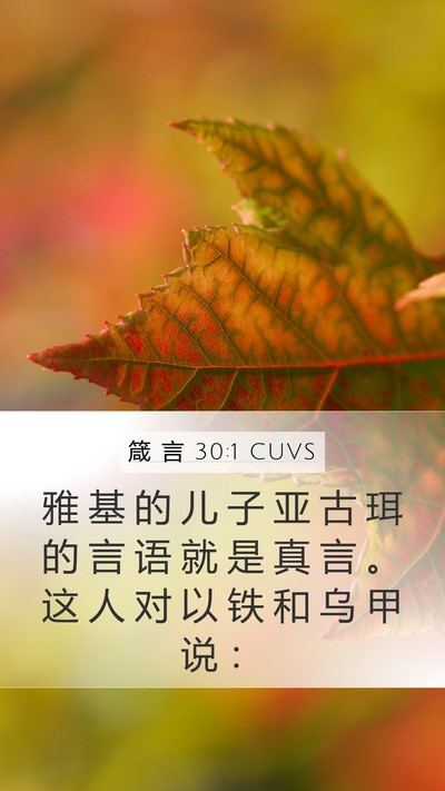 箴 言 30:1 CUVS Mobile Phone Wallpaper - 雅 基 的 儿 子 亚 古 珥 的 言 语 就 - Mobile Bible Verse Wallpaper