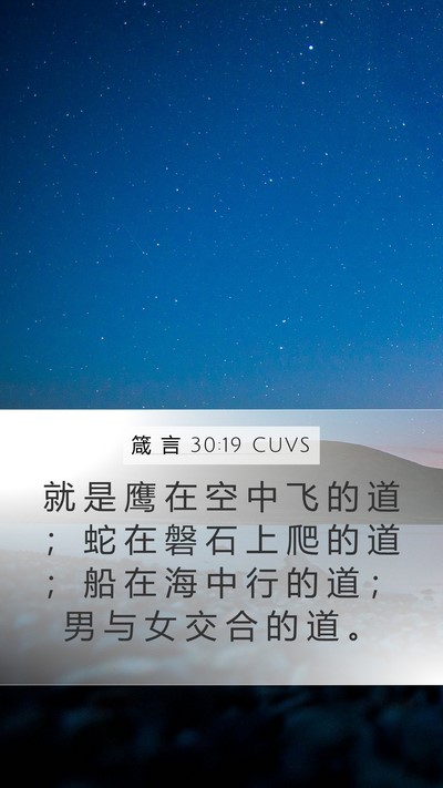 箴 言 30:19 CUVS Mobile Phone Wallpaper - 就 是 鹰 在 空 中 飞 的 道 ； 蛇 在 - Mobile Bible Verse Wallpaper