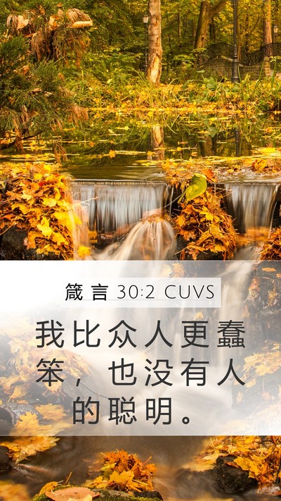 箴 言 30:2 CUVS Bible Verse Image