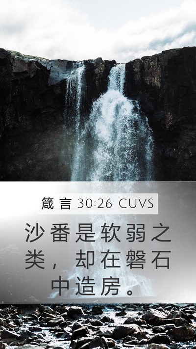 箴 言 30:26 CUVS Mobile Phone Wallpaper - 沙 番 是 软 弱 之 类 ， 却 在 磐 石 - Mobile Bible Verse Wallpaper