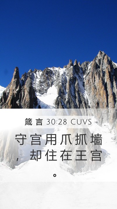 箴 言 30:28 CUVS Mobile Phone Wallpaper - 守 宫 用 爪 抓 墙 ， 却 住 在 王 宫 - Mobile Bible Verse Wallpaper
