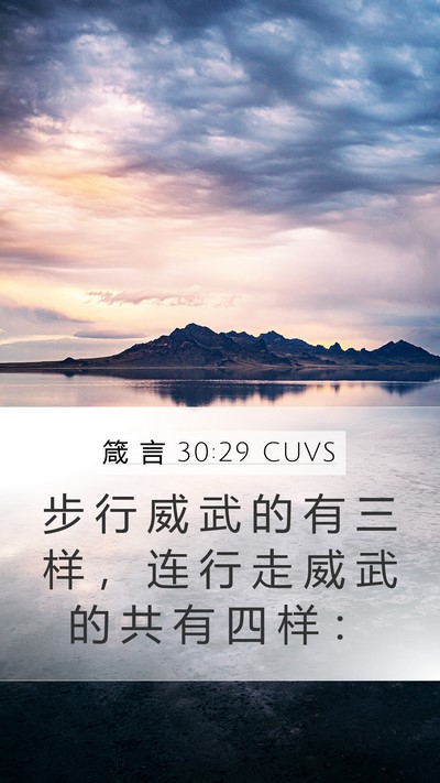 箴 言 30:29 CUVS Bible Verse Image