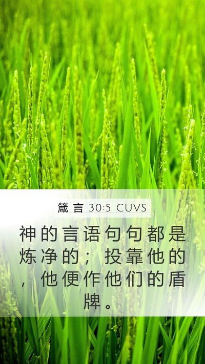 箴 言 30:5 CUVS Bible Verse Image