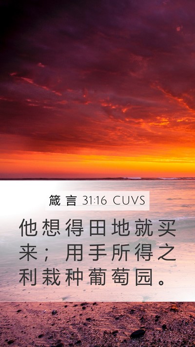 箴 言 31:16 CUVS Bible Verse Image