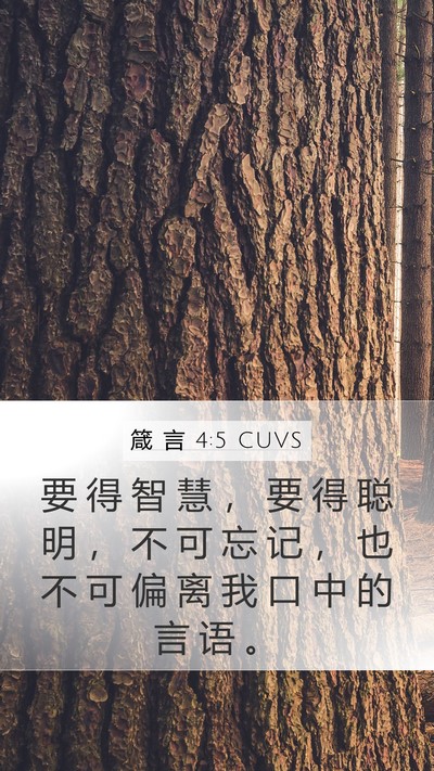 箴 言 4:5 CUVS Bible Verse Image