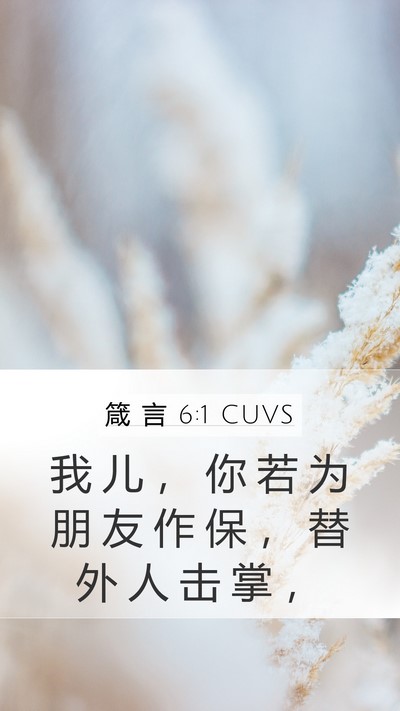箴 言 6:1 CUVS Mobile Phone Wallpaper - 我 儿 ， 你 若 为 朋 友 作 保 ， 替 - Mobile Bible Verse Wallpaper