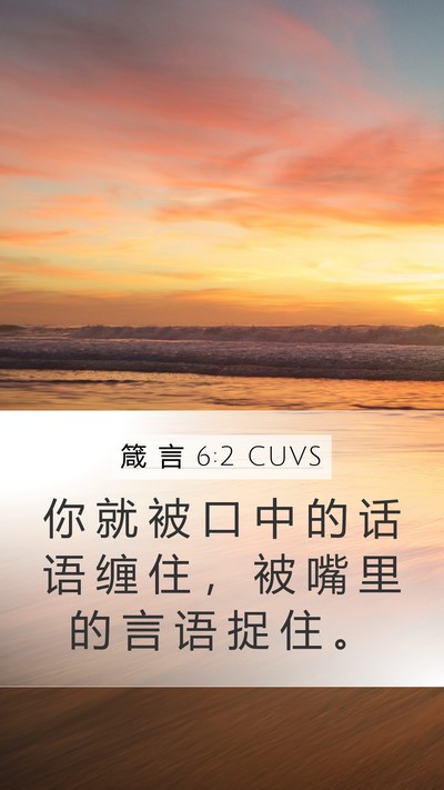 箴 言 6:2 CUVS Bible Verse Image