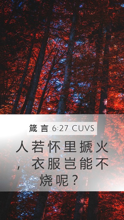 箴 言 6:27 CUVS Bible Verse Image