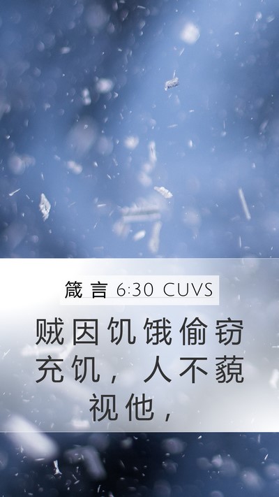 箴 言 6:30 CUVS Bible Verse Image