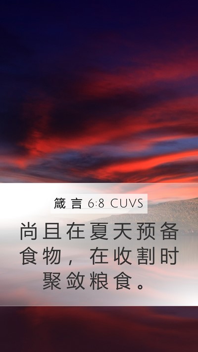 箴 言 6:8 CUVS Bible Verse Image