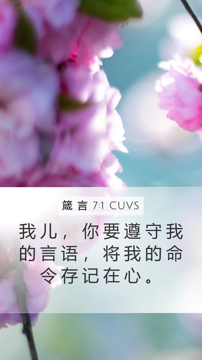 箴 言 7:1 CUVS Mobile Phone Wallpaper - 我 儿 ， 你 要 遵 守 我 的 言 语 ， - Mobile Bible Verse Wallpaper