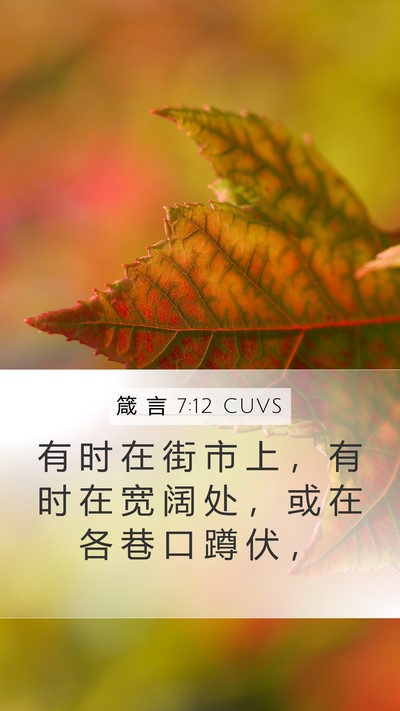 箴 言 7:12 CUVS Bible Verse Image