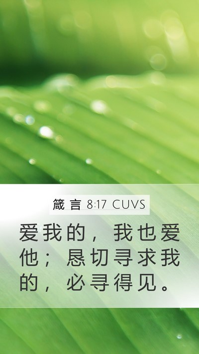 箴 言 8:17 CUVS Bible Verse Image