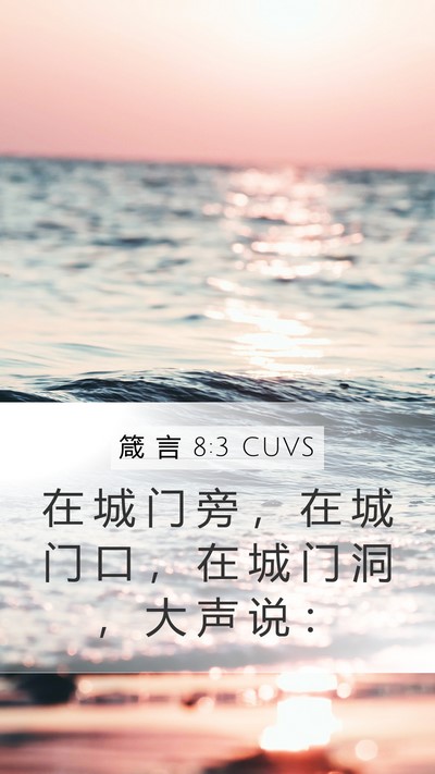 箴 言 8:3 CUVS Mobile Phone Wallpaper - 在 城 门 旁 ， 在 城 门 口 ， 在 城 - Mobile Bible Verse Wallpaper