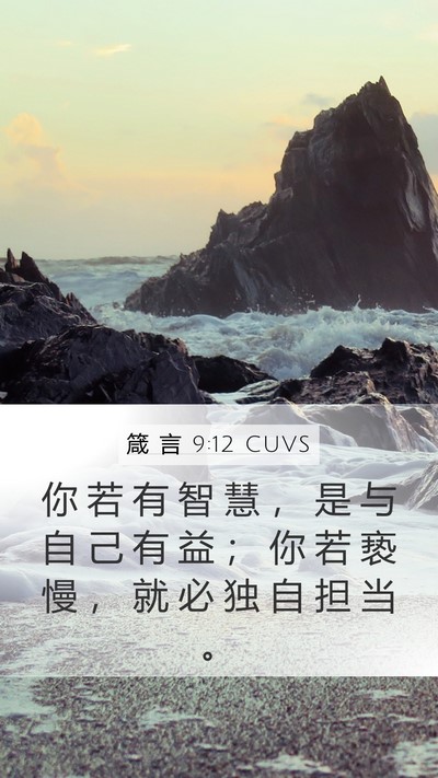 箴 言 9:12 CUVS Mobile Phone Wallpaper - 你 若 有 智 慧 ， 是 与 自 己 有 益 - Mobile Bible Verse Wallpaper