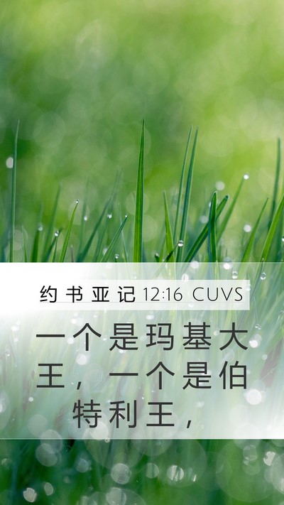 约 书 亚 记 12:16 CUVS Mobile Phone Wallpaper - 一 个 是 玛 基 大 王 ， 一 个 是 伯 - Mobile Bible Verse Wallpaper
