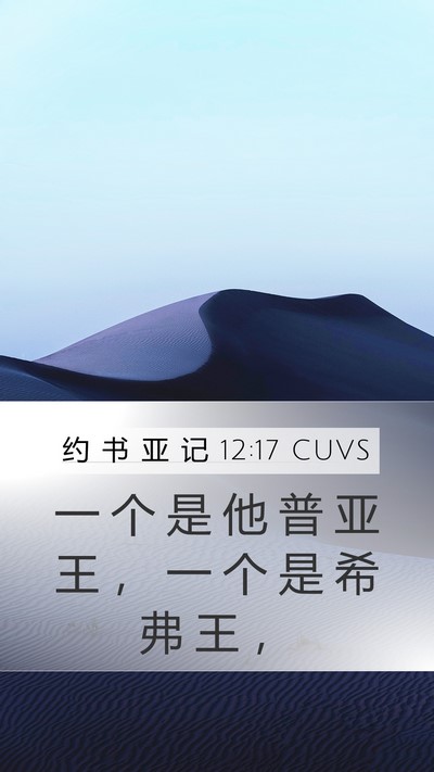 约 书 亚 记 12:17 CUVS Mobile Phone Wallpaper - 一 个 是 他 普 亚 王 ， 一 个 是 希 - Mobile Bible Verse Wallpaper