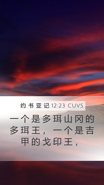 约 书 亚 记 12:23 CUVS Bible Verse Image