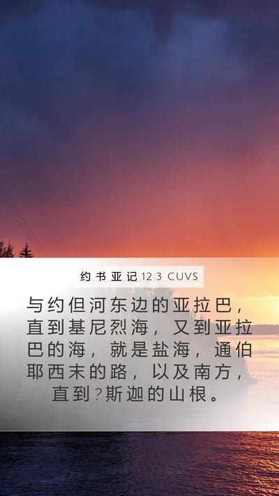 约 书 亚 记 12:3 CUVS Bible Verse Image