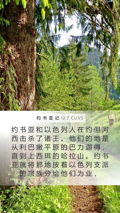 约 书 亚 记 12:7 CUVS Bible Verse Image