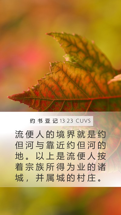 约 书 亚 记 13:23 CUVS Mobile Phone Wallpaper - 流 便 人 的 境 界 就 是 约 但 河 与 - Mobile Bible Verse Wallpaper
