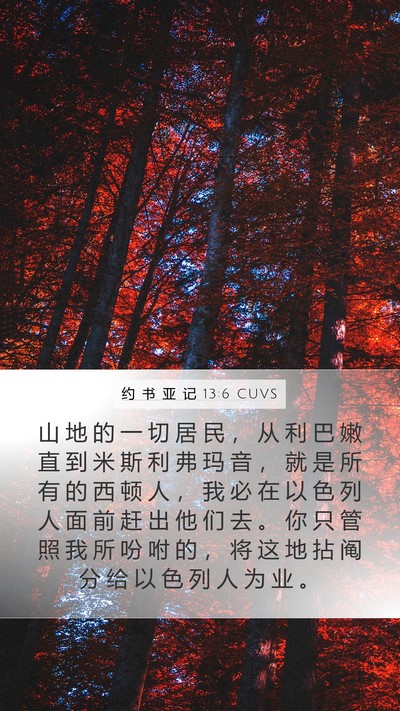 约 书 亚 记 13:6 CUVS Bible Verse Image
