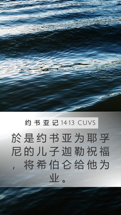 约 书 亚 记 14:13 CUVS Bible Verse Image