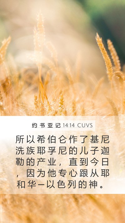 约 书 亚 记 14:14 CUVS Bible Verse Image