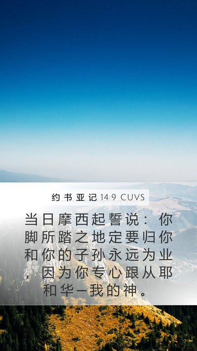 约 书 亚 记 14:9 CUVS Bible Verse Image