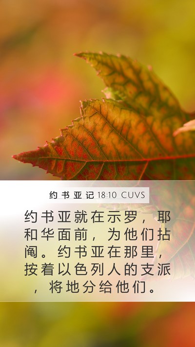 约 书 亚 记 18:10 CUVS Bible Verse Image