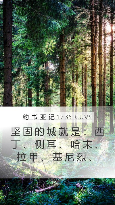 约 书 亚 记 19:35 CUVS Bible Verse Image