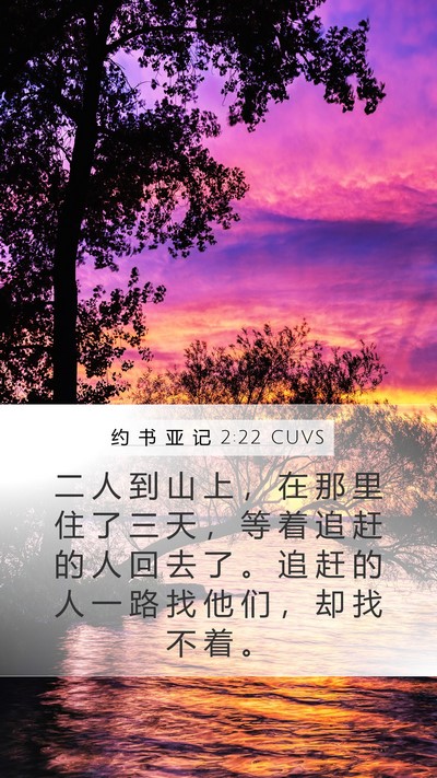约 书 亚 记 2:22 CUVS Bible Verse Image