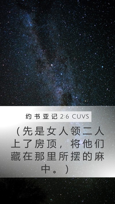 约 书 亚 记 2:6 CUVS Bible Verse Image