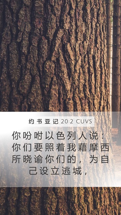 约 书 亚 记 20:2 CUVS Bible Verse Image