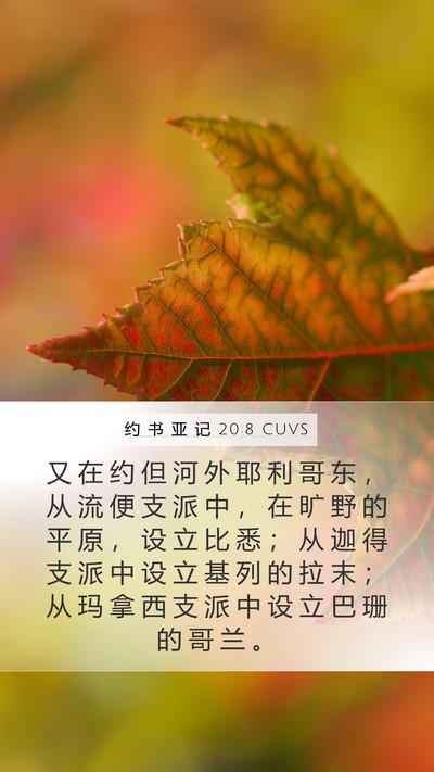 约 书 亚 记 20:8 CUVS Bible Verse Image