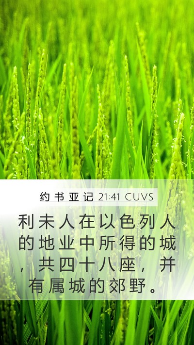 约 书 亚 记 21:41 CUVS Bible Verse Image