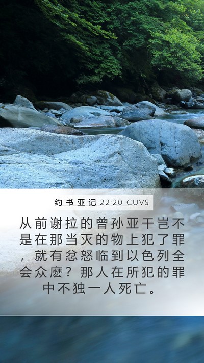 约 书 亚 记 22:20 CUVS Bible Verse Image