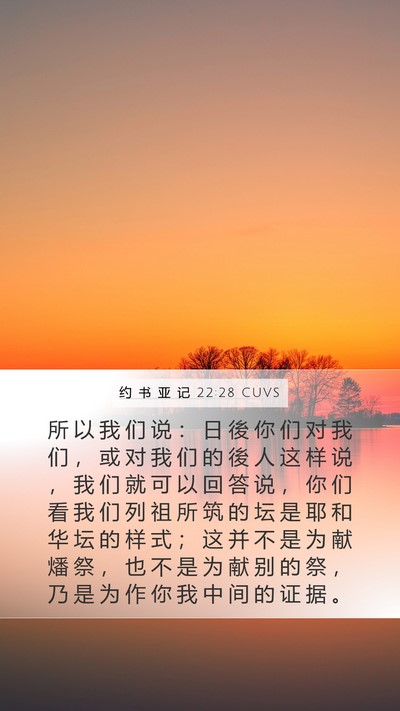 约 书 亚 记 22:28 CUVS Mobile Phone Wallpaper - 所 以 我 们 说 ： 日 後 你 们 对 我 - Mobile Bible Verse Wallpaper