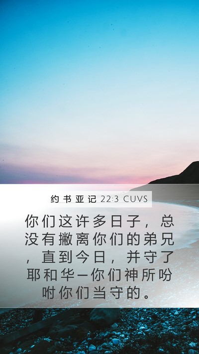 约 书 亚 记 22:3 CUVS Bible Verse Image