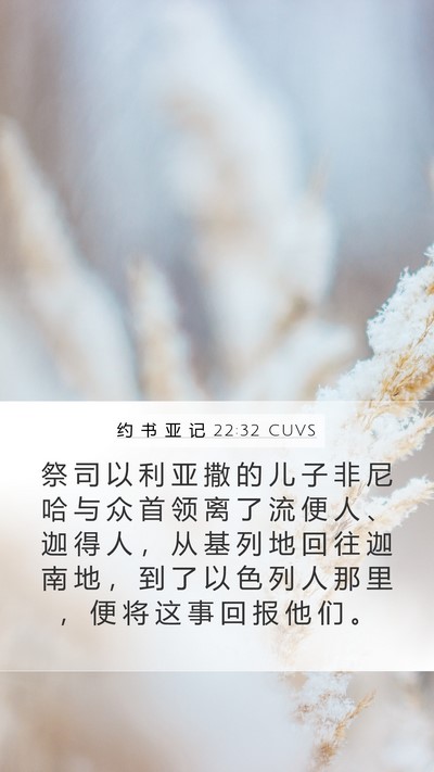 约 书 亚 记 22:32 CUVS Mobile Phone Wallpaper - 祭 司 以 利 亚 撒 的 儿 子 非 尼 哈 - Mobile Bible Verse Wallpaper