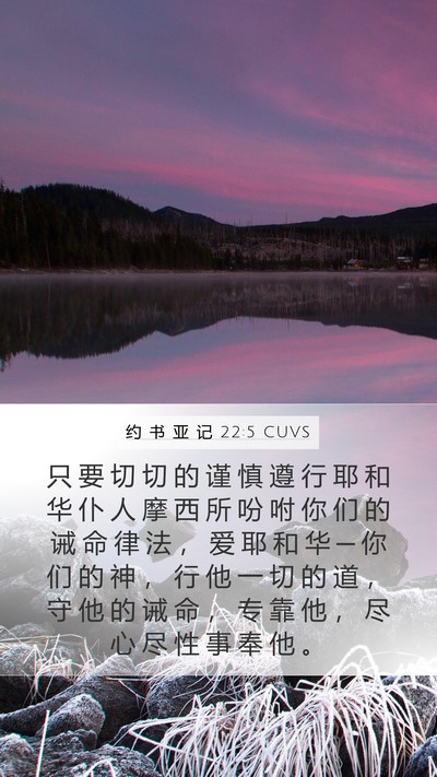 约 书 亚 记 22:5 CUVS Bible Verse Image