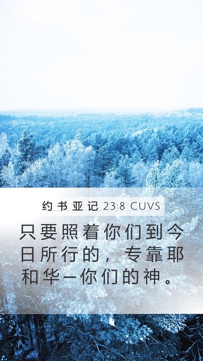 约 书 亚 记 23:8 CUVS Bible Verse Image