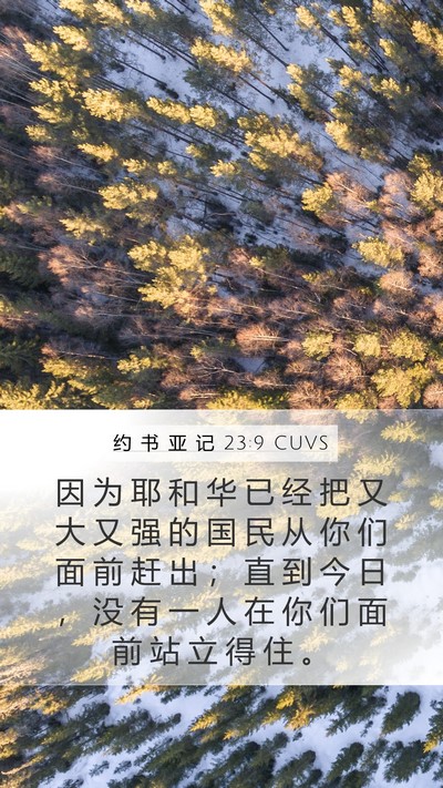 约 书 亚 记 23:9 CUVS Mobile Phone Wallpaper - 因 为 耶 和 华 已 经 把 又 大 又 强 - Mobile Bible Verse Wallpaper