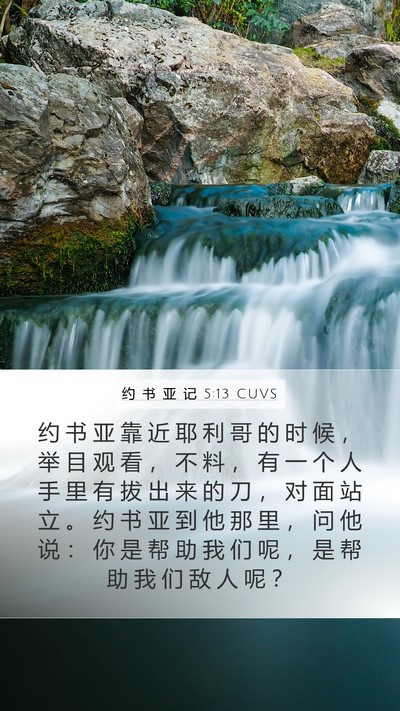 约 书 亚 记 5:13 CUVS Bible Verse Image