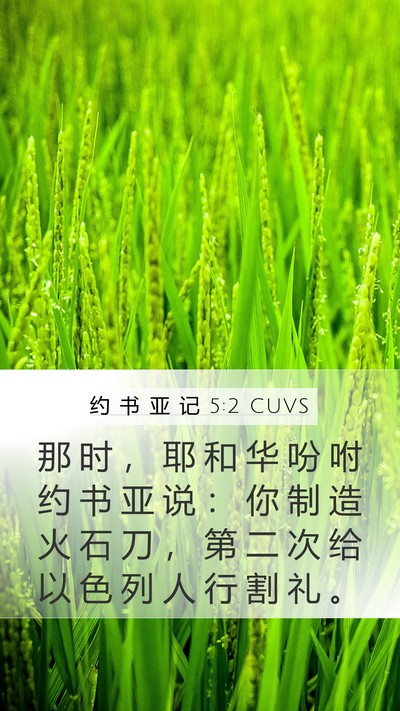 约 书 亚 记 5:2 CUVS Mobile Phone Wallpaper - 那 时 ， 耶 和 华 吩 咐 约 书 亚 说 - Mobile Bible Verse Wallpaper