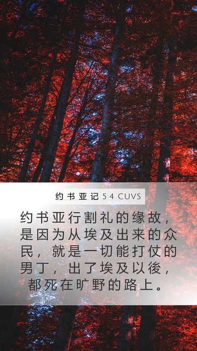 约 书 亚 记 5:4 CUVS Mobile Phone Wallpaper - 约 书 亚 行 割 礼 的 缘 故 ， 是 因 - Mobile Bible Verse Wallpaper