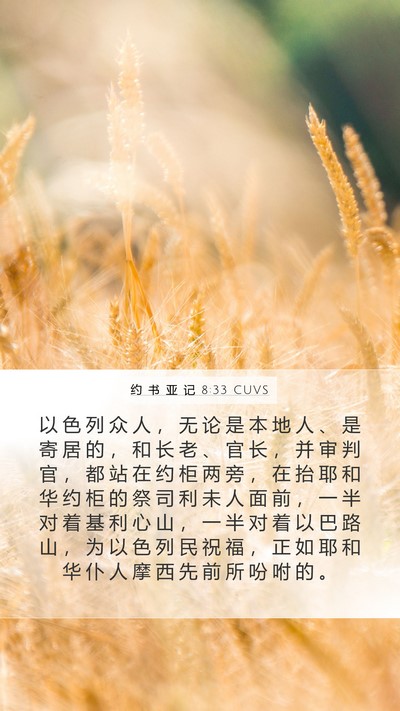 约 书 亚 记 8:33 CUVS Bible Verse Image