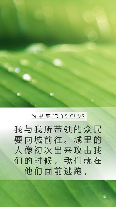 约 书 亚 记 8:5 CUVS Bible Verse Image